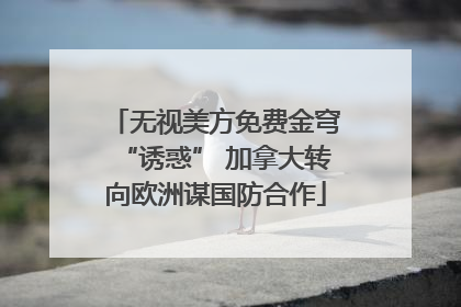 无视美方免费金穹“诱惑” 加拿大转向欧洲谋国防合作