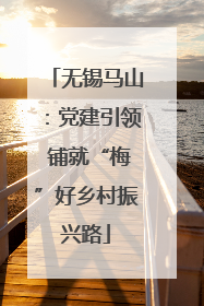 无锡马山：党建引领 铺就“梅”好乡村振兴路