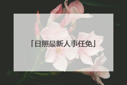 日照最新人事任免