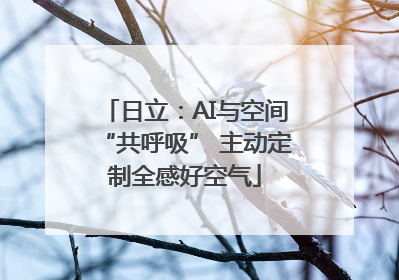 日立：AI与空间“共呼吸” 主动定制全感好空气