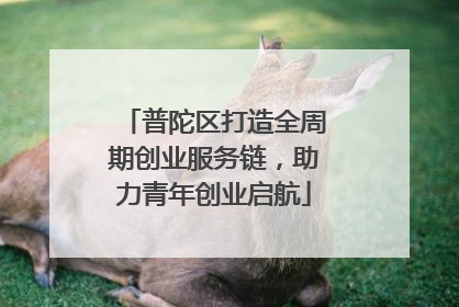 普陀区打造全周期创业服务链，助力青年创业启航