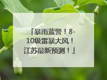 暴雨蓝警！8-10级雷暴大风！江苏最新预测！