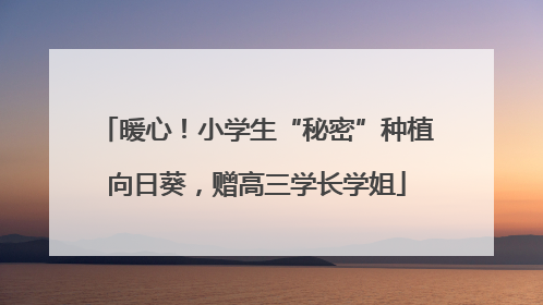 暖心！小学生“秘密”种植向日葵，赠高三学长学姐