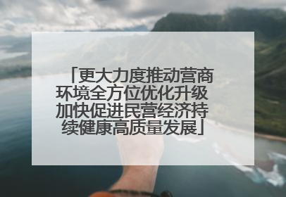 更大力度推动营商环境全方位优化升级加快促进民营经济持续健康高质量发展