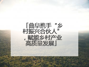曲阜携手“乡村振兴合伙人”，赋能乡村产业高质量发展