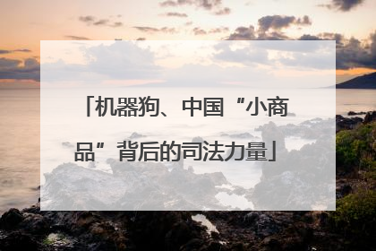 机器狗、中国“小商品”背后的司法力量