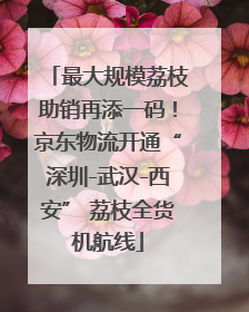 最大规模荔枝助销再添一码！京东物流开通“深圳-武汉-西安” 荔枝全货机航线