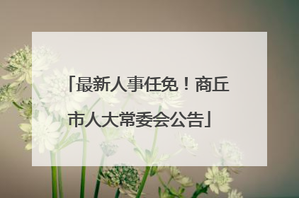 最新人事任免！商丘市人大常委会公告