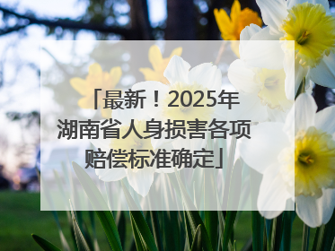 最新！2025年湖南省人身损害各项赔偿标准确定