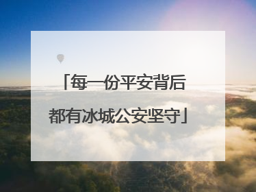 每一份平安背后 都有冰城公安坚守