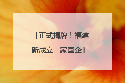 正式揭牌！福建新成立一家国企