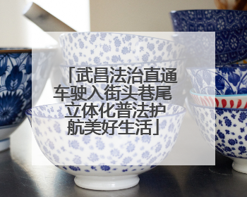 武昌法治直通车驶入街头巷尾 立体化普法护航美好生活