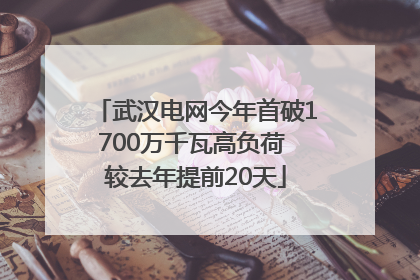 武汉电网今年首破1700万千瓦高负荷 较去年提前20天