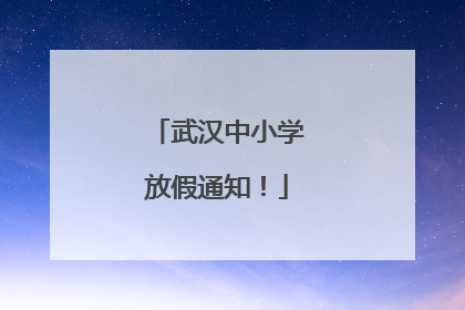 武汉中小学放假通知！