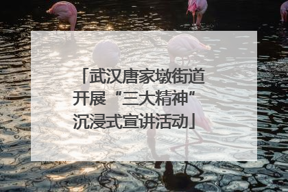 武汉唐家墩街道开展“三大精神”沉浸式宣讲活动