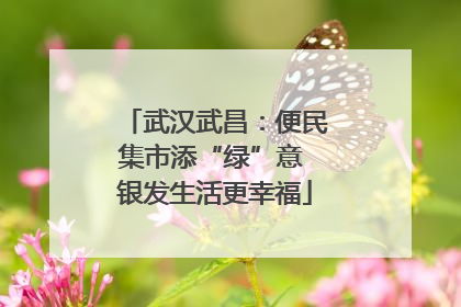 武汉武昌：便民集市添“绿”意 银发生活更幸福