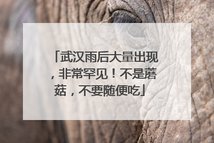 武汉雨后大量出现，非常罕见！不是蘑菇，不要随便吃