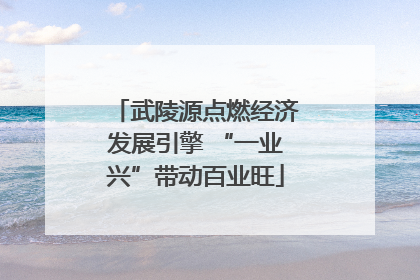 武陵源点燃经济发展引擎 “一业兴”带动百业旺