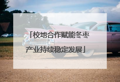 校地合作赋能冬枣产业持续稳定发展