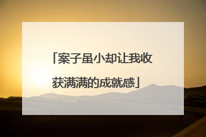 案子虽小却让我收获满满的成就感