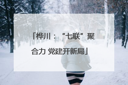 桦川：“七联”聚合力 党建开新局