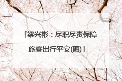 梁兴彬：尽职尽责保障旅客出行平安(图)
