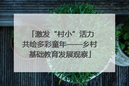 激发“村小”活力 共绘多彩童年——乡村基础教育发展观察