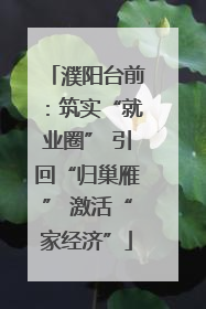 濮阳台前：筑实“就业圈” 引回“归巢雁” 激活“家经济”