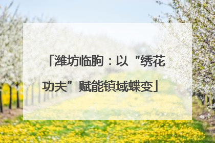 潍坊临朐：以“绣花功夫”赋能镇域蝶变