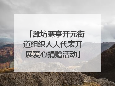 潍坊寒亭开元街道组织人大代表开展爱心捐赠活动