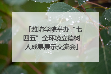 潍坊学院举办“七四五”全环境立德树人成果展示交流会