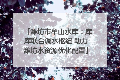 潍坊市牟山水库：库库联合调水枢纽 助力潍坊水资源优化配置
