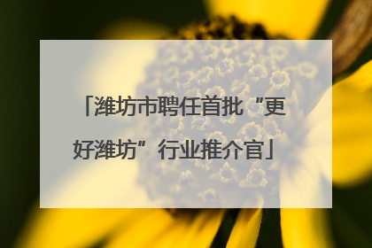 潍坊市聘任首批“更好潍坊”行业推介官
