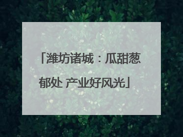 潍坊诸城：瓜甜葱郁处 产业好风光