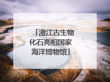 澄江古生物化石亮相国家海洋博物馆