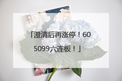 澄清后再涨停！605099六连板！