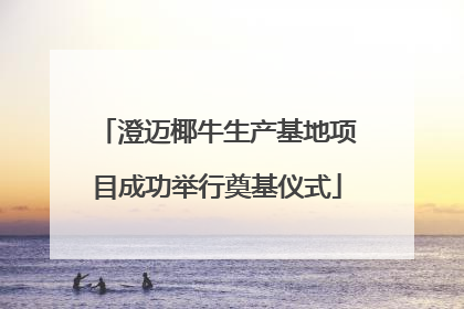 澄迈椰牛生产基地项目成功举行奠基仪式
