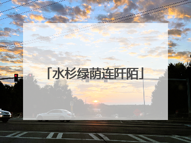 水杉绿荫连阡陌