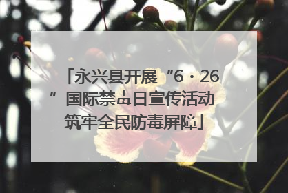 永兴县开展“6・26”国际禁毒日宣传活动 筑牢全民防毒屏障