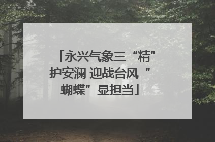 永兴气象三“精”护安澜 迎战台风“蝴蝶”显担当