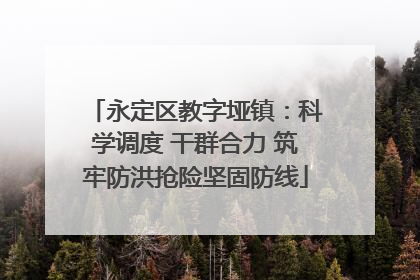 永定区教字垭镇：科学调度 干群合力 筑牢防洪抢险坚固防线