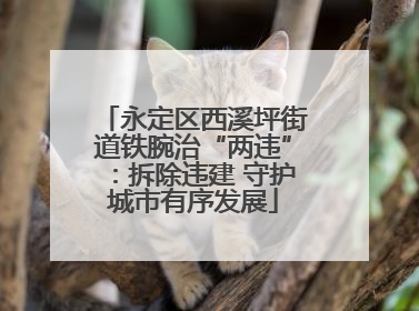 永定区西溪坪街道铁腕治“两违”：拆除违建 守护城市有序发展