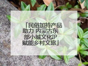 民俗加持产品助力 内蒙古东部小城文化IP赋能乡村文旅