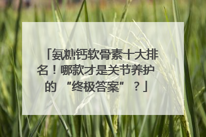 氨糖钙软骨素十大排名！哪款才是关节养护的 “终极答案”？