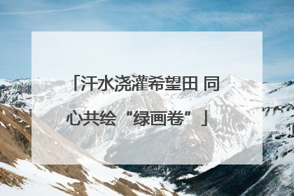 汗水浇灌希望田 同心共绘“绿画卷”