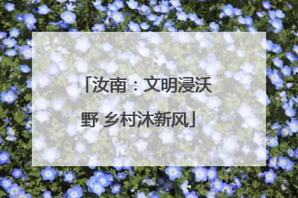 汝南：文明浸沃野 乡村沐新风