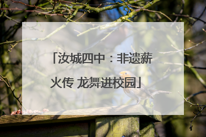 汝城四中：非遗薪火传 龙舞进校园