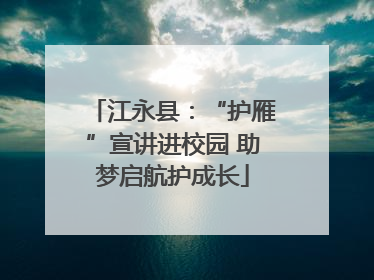 江永县：“护雁”宣讲进校园 助梦启航护成长