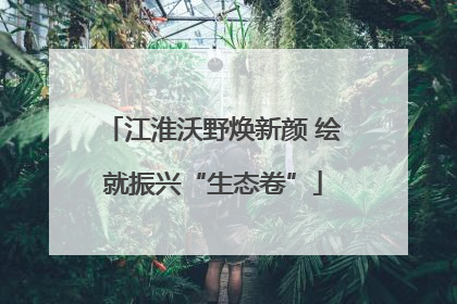 江淮沃野焕新颜 绘就振兴“生态卷”