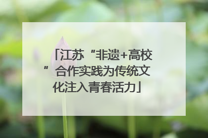 江苏“非遗+高校”合作实践为传统文化注入青春活力